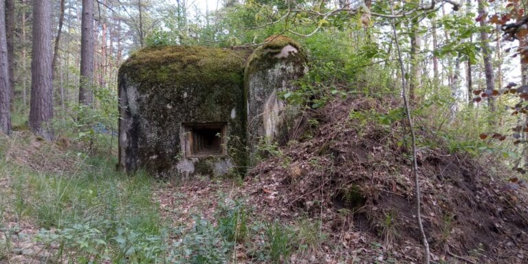 #22: Vojenské bunkry u Podvořských rybníků (Vojenský újezd Boletice)