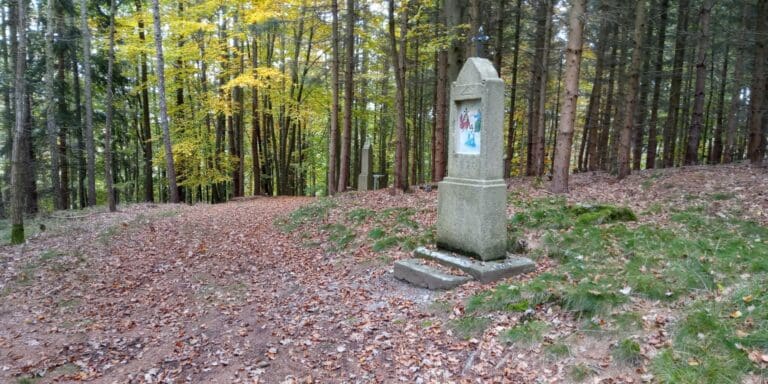 #31: Křížová cesta u Soběnova