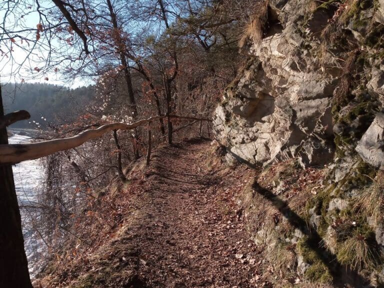 #12 Fritschova stezka u Boršova nad Vltavou