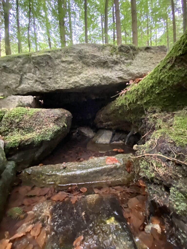 #309: Studánka a svatý obrázek nad Besednicí